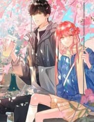 Bong Bóng Đào Chi